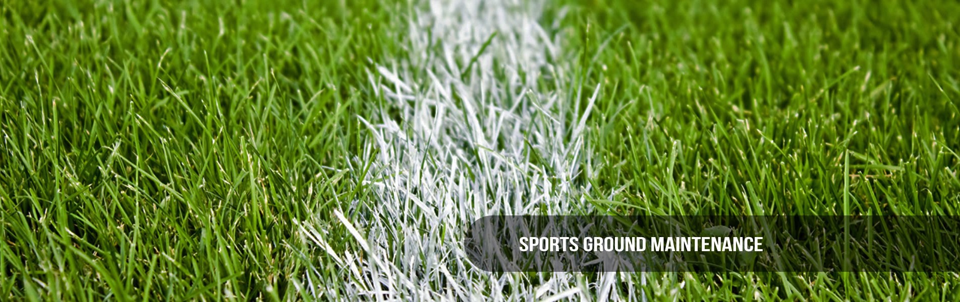 scroll_sports_grond.jpg